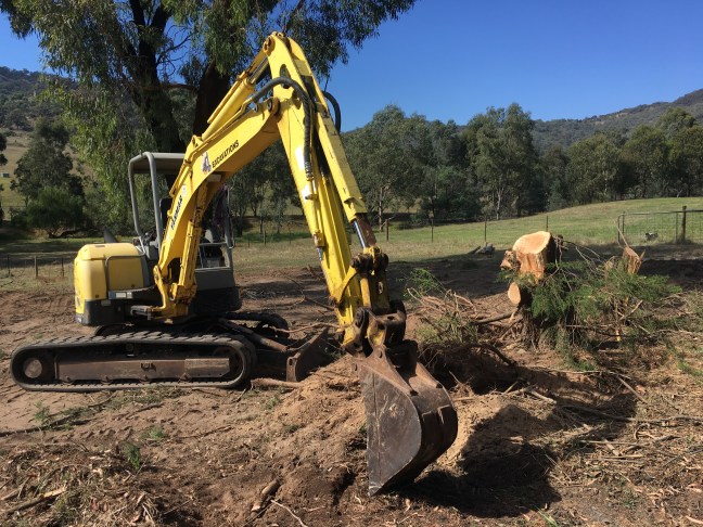 Treestump_Removal.JPG